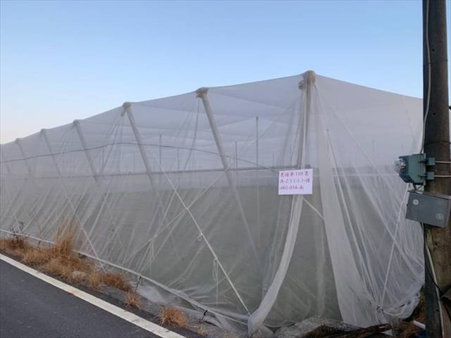生產者圖片
