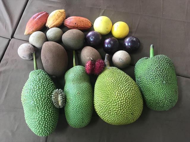 生產者圖片