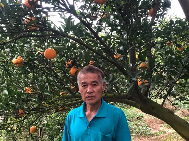 生產者圖片