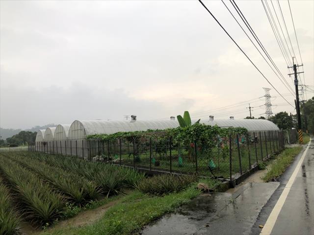 生產者圖片