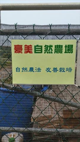生產者圖片