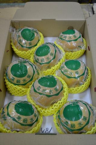 生產者圖片