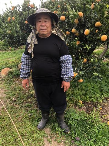 生產者圖片