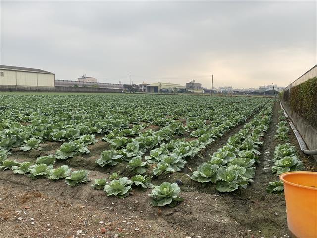 生產者圖片