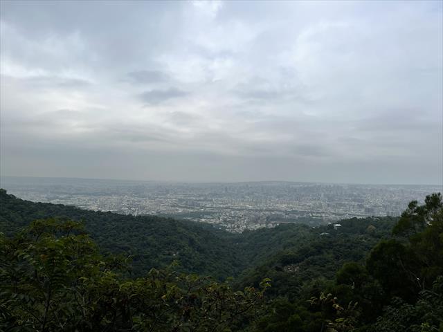 生產者圖片