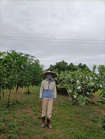 生產者圖片