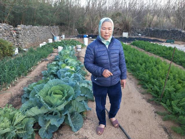 生產者圖片