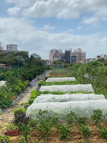 生產者圖片