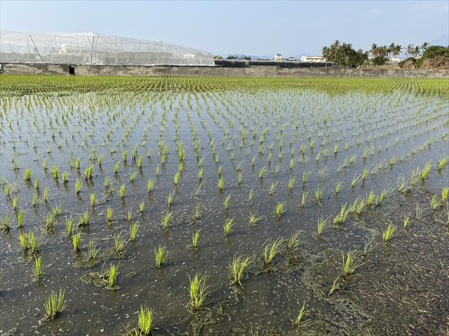 生產者圖片