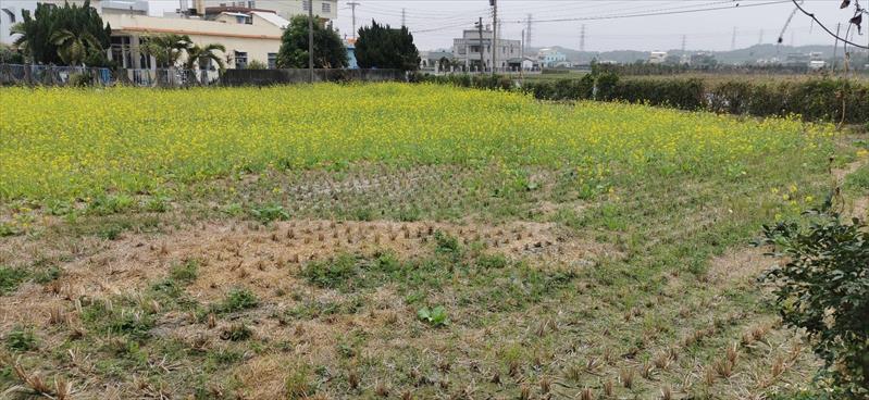 生產者圖片