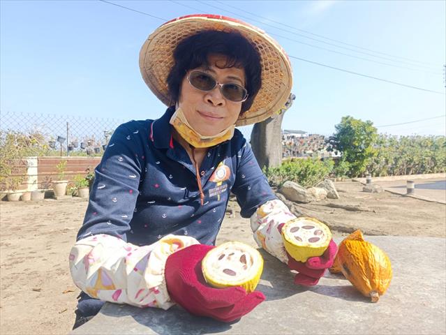 生產者圖片