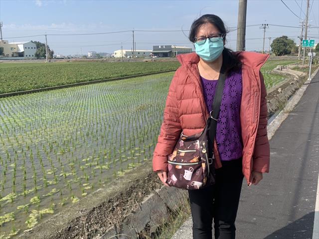 生產者圖片