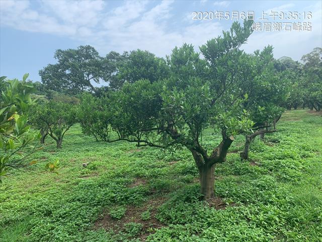 生產者圖片