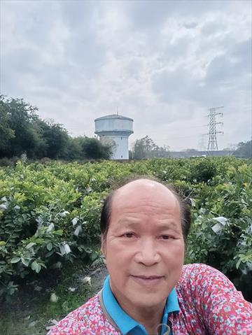 生產者圖片