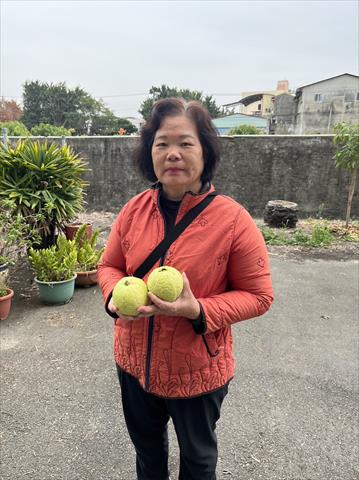 生產者圖片