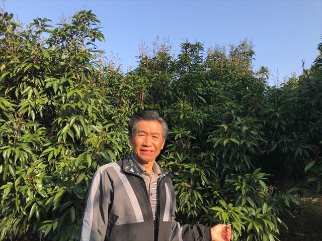 生產者圖片