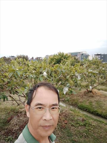 生產者圖片