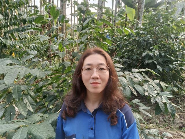生產者圖片
