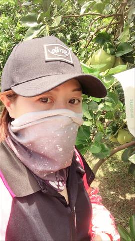 生產者圖片