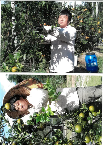 生產者圖片