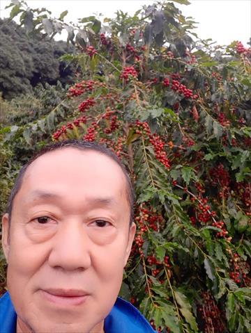 生產者圖片