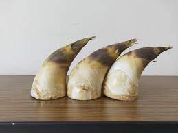 生產者圖片