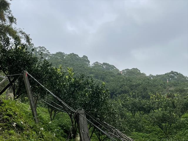 生產者圖片
