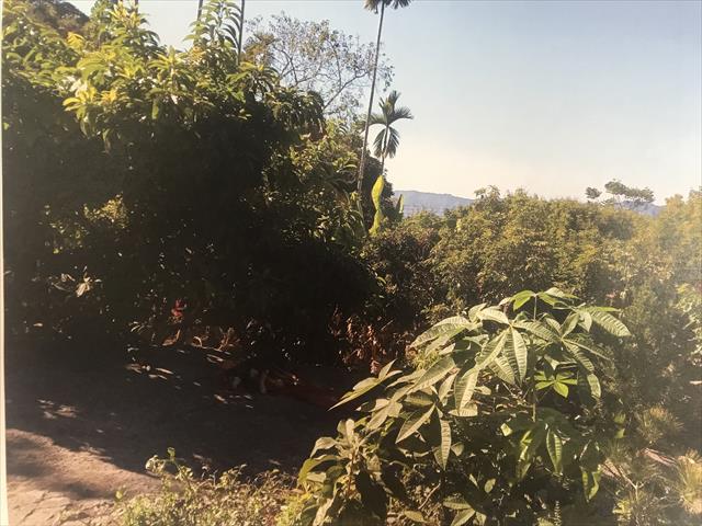 生產者圖片
