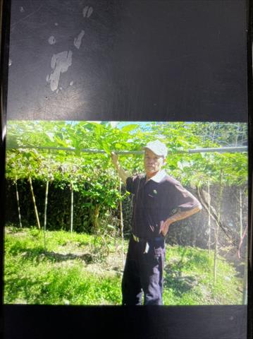 生產者圖片
