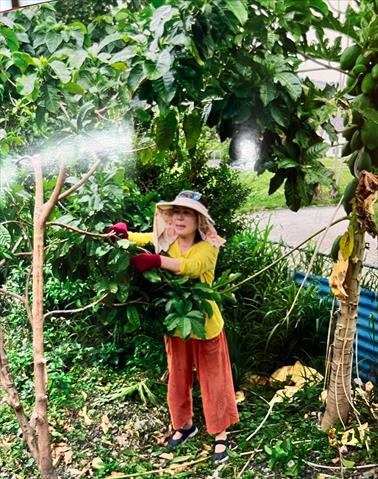 生產者圖片