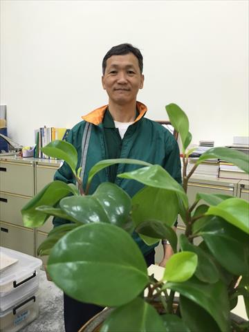生產者圖片