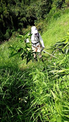 生產者圖片