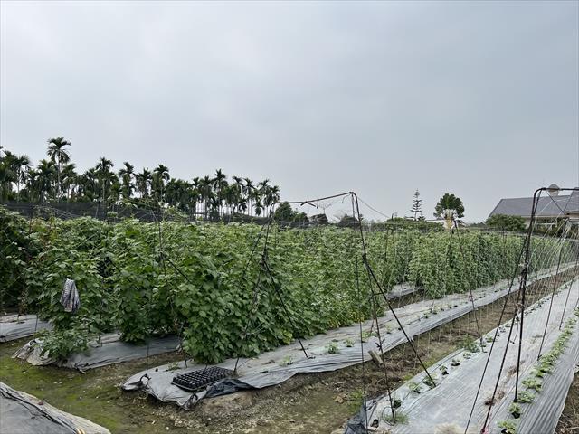 生產者圖片