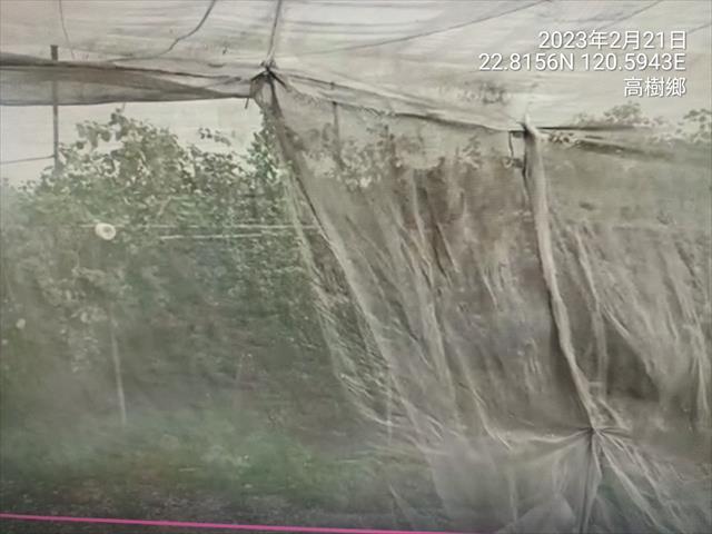 生產者圖片