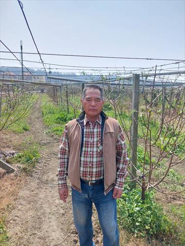 生產者圖片