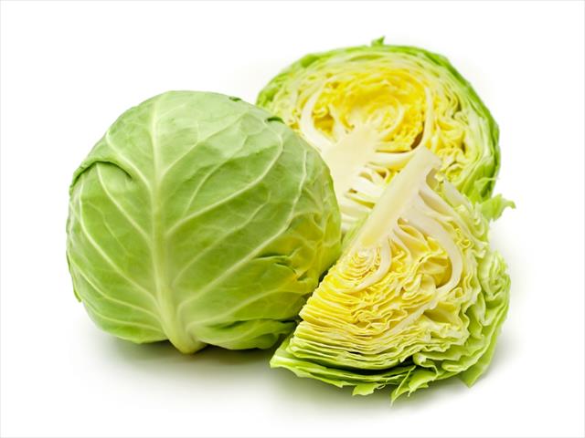 生產者圖片