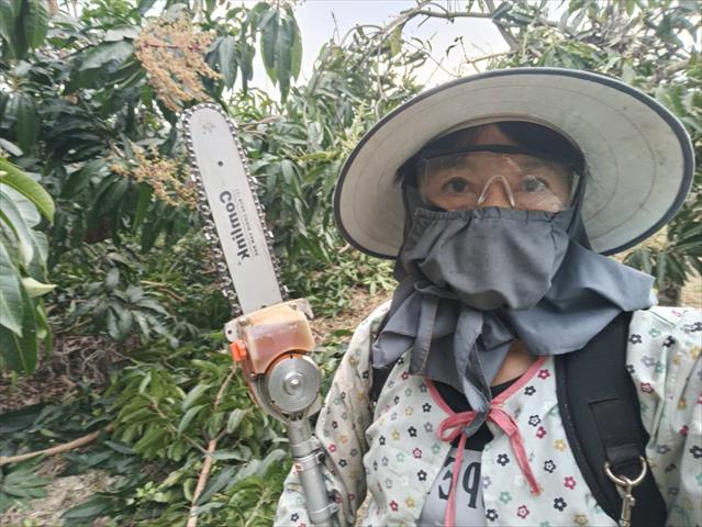 生產者圖片