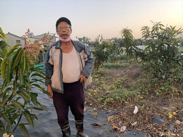生產者圖片