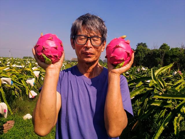 生產者圖片