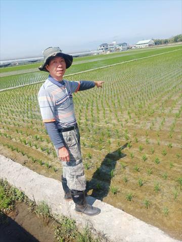 生產者圖片
