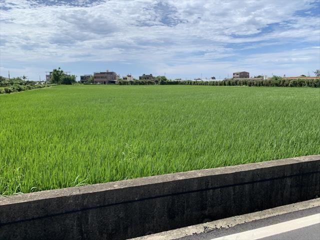 生產者圖片