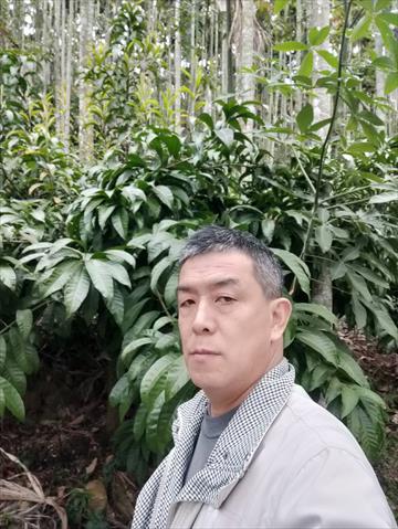 生產者圖片