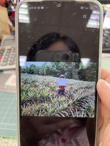 生產者圖片