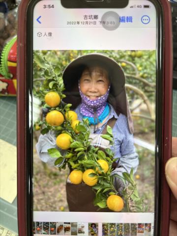 生產者圖片