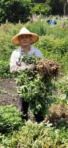 生產者圖片