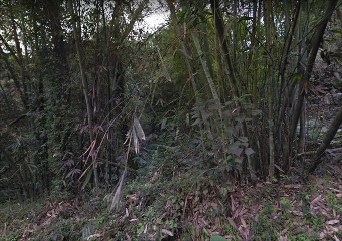 生產者圖片