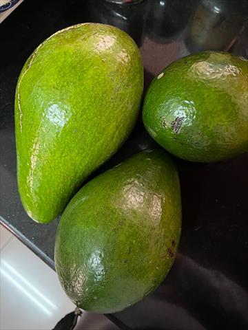 生產者圖片
