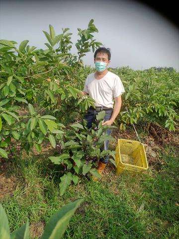 生產者圖片