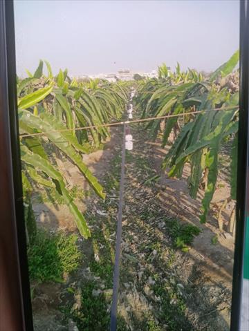生產者圖片