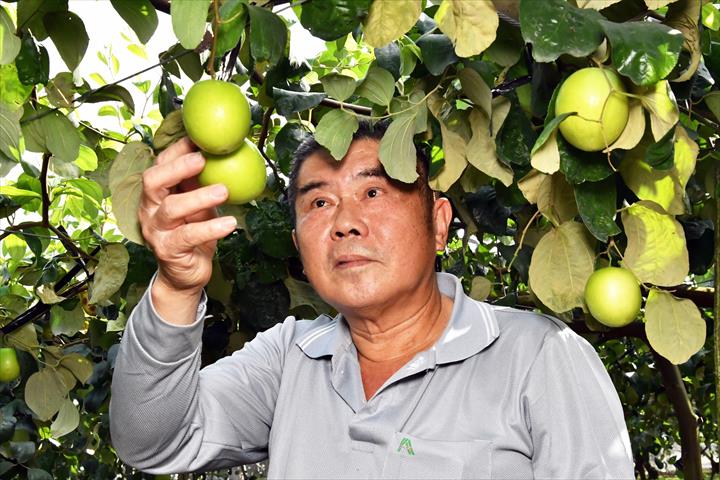 生產者圖片